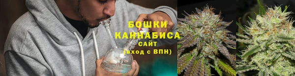 стафф Новокубанск