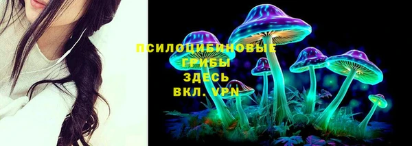 стафф Новокубанск