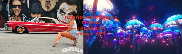 ГАЛЛЮЦИНОГЕННЫЕ ГРИБЫ Новодвинск