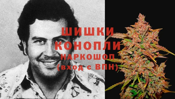 стафф Новокубанск