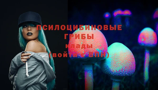 кокс Медвежьегорск