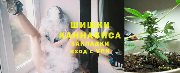 стафф Новокубанск